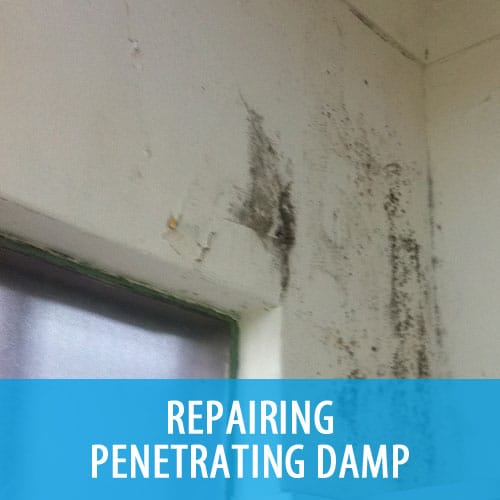 Specialties - Repairing Penetrating Damp