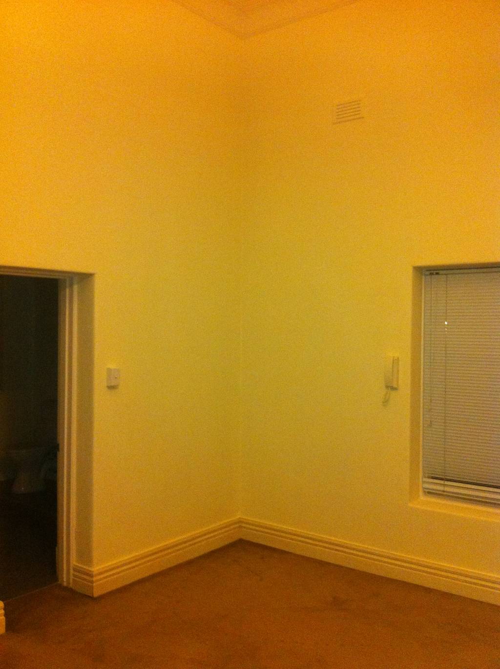 St Kilda Solid Plaster Repair