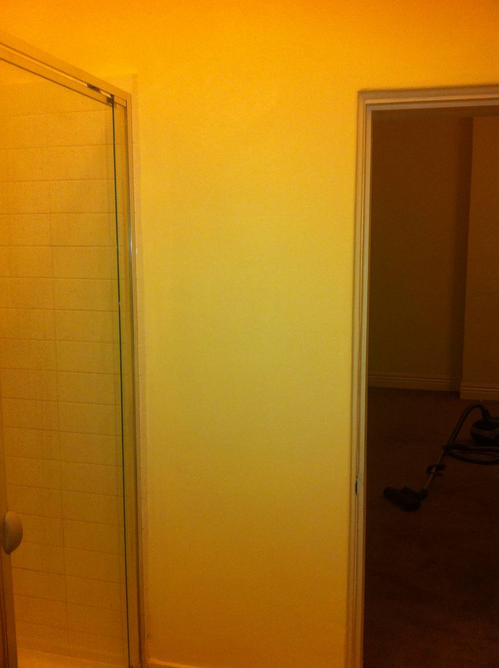 St Kilda Solid Plaster Repair