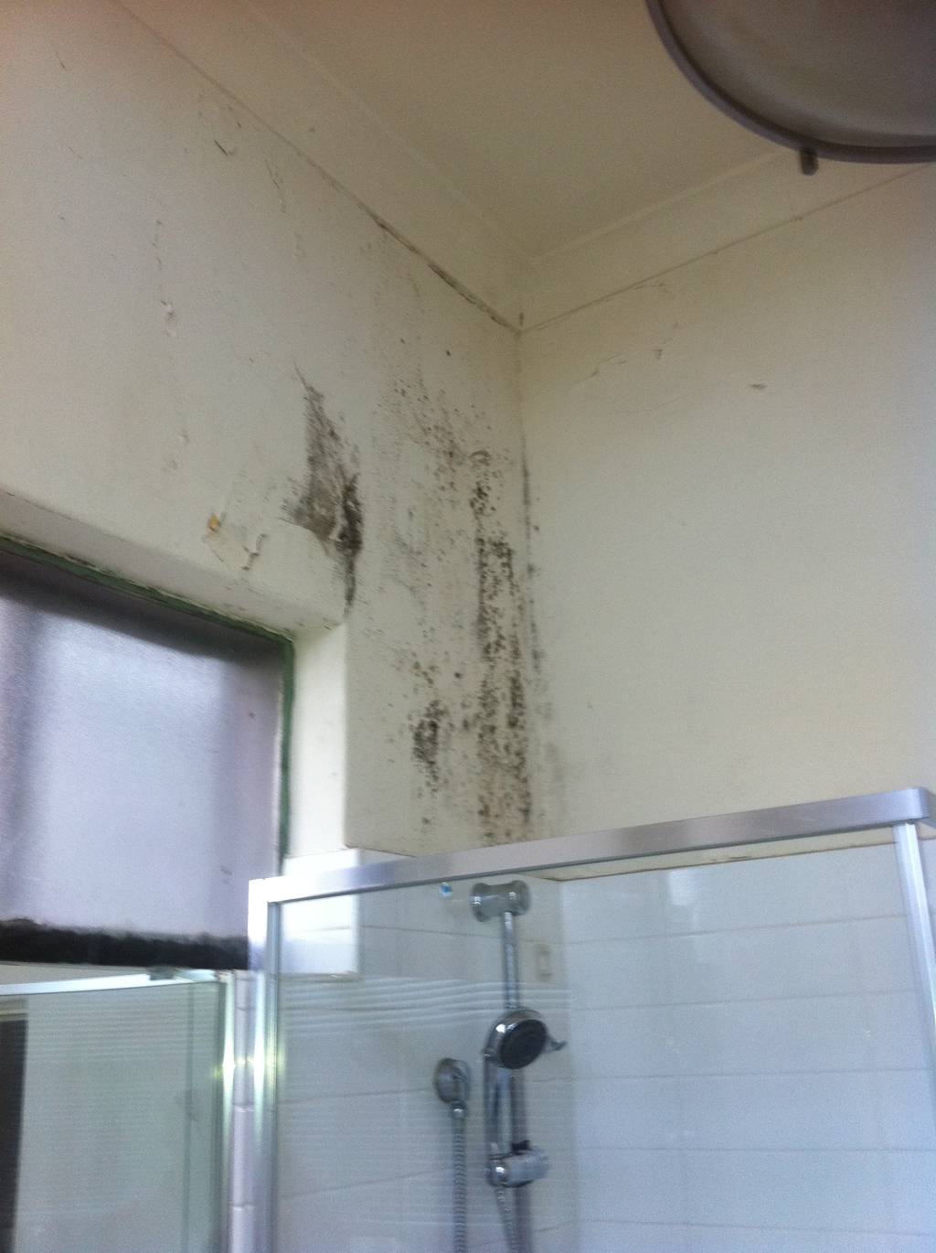St Kilda Solid Plaster