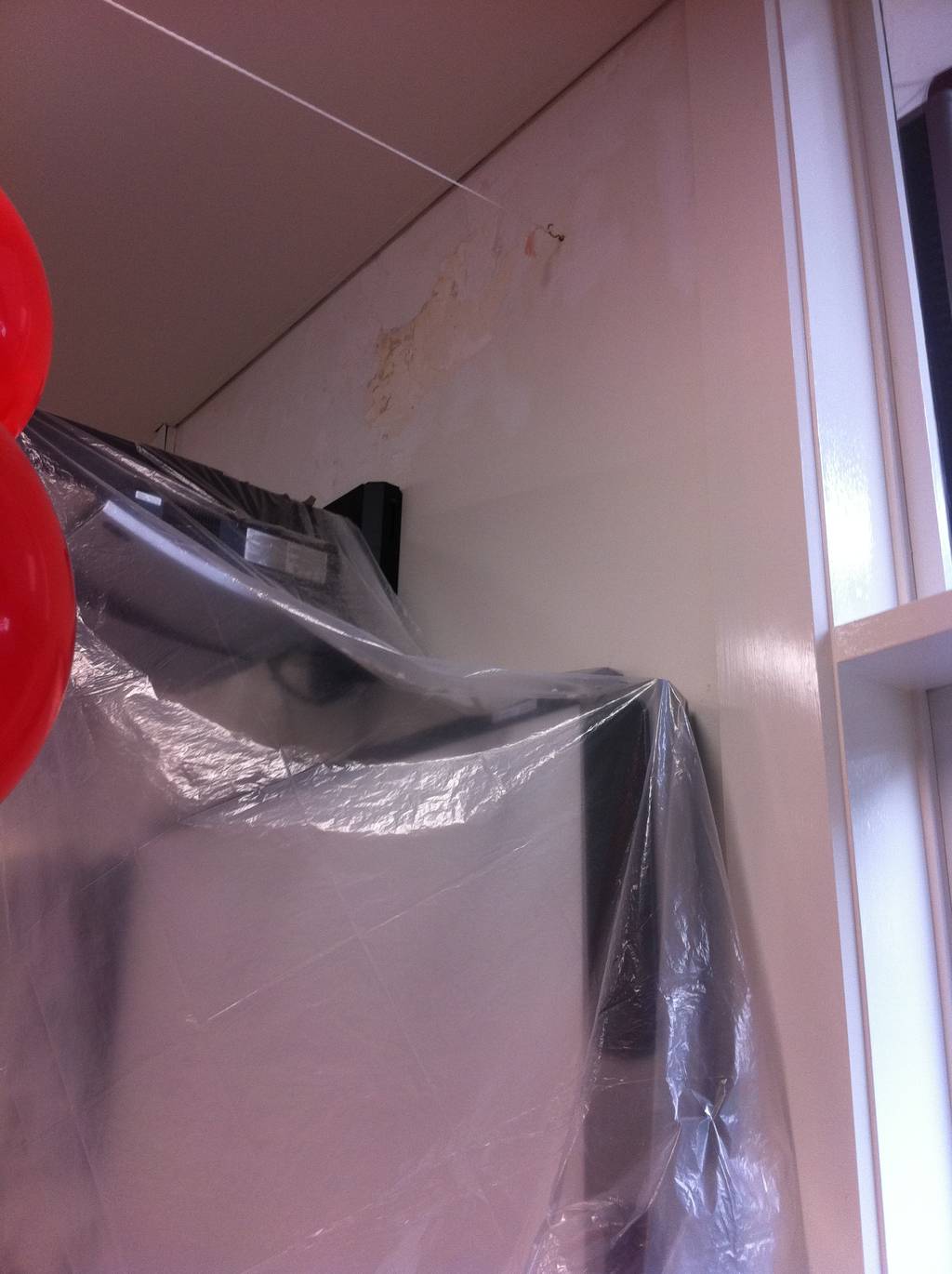 Whiteset Solid Plaster Repair Toorak