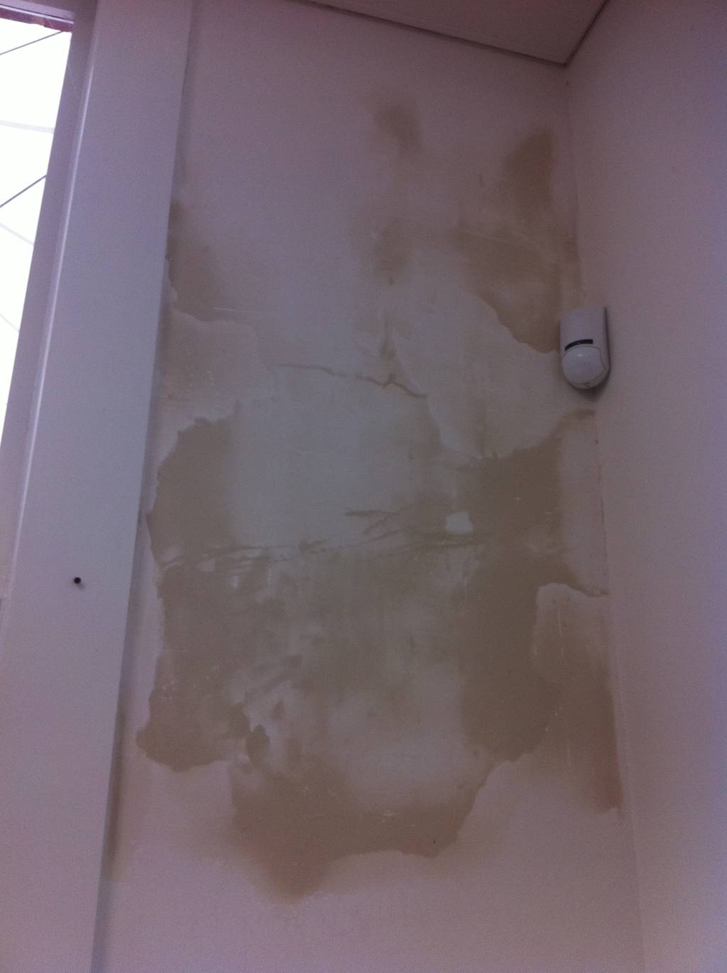 Whiteset Solid Plaster Repair Toorak